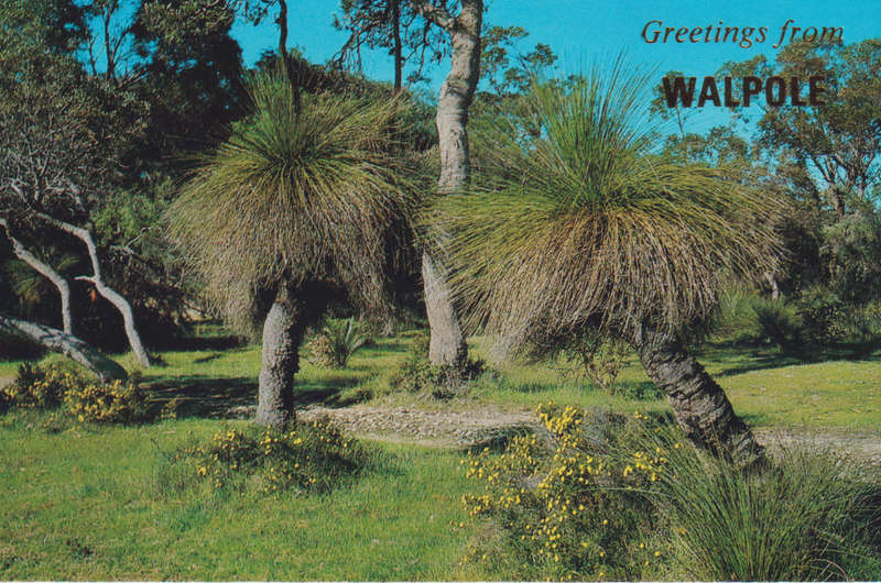 Post Cards / Maxi Card Not used