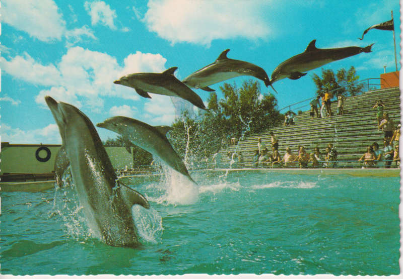 Post Cards / Maxi Card Not used