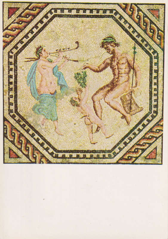 Post Cards / Maxi Card Not used