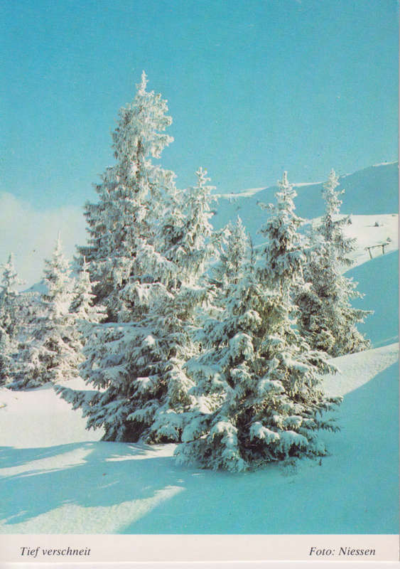 Post Cards / Maxi Card Not used