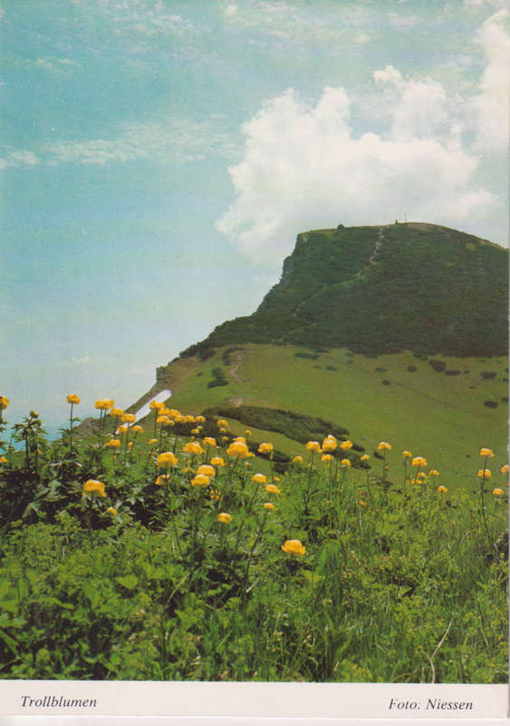 Post Cards / Maxi Card Not used