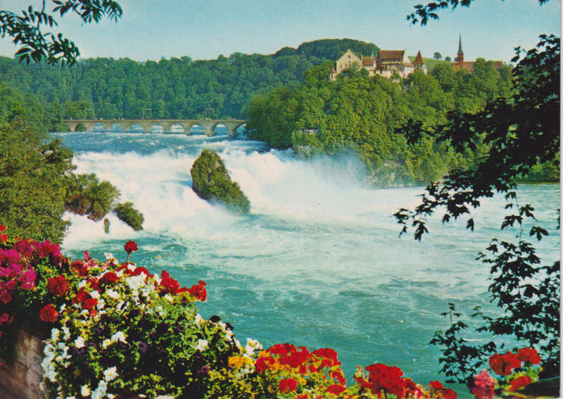 Post Cards / Maxi Card Not used