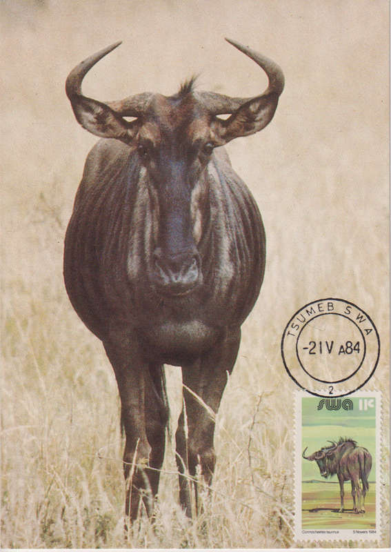 Post Card / Maxi Card used