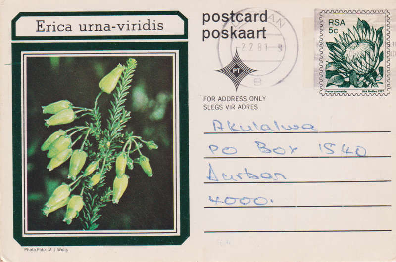 Post Card / Maxi Card used