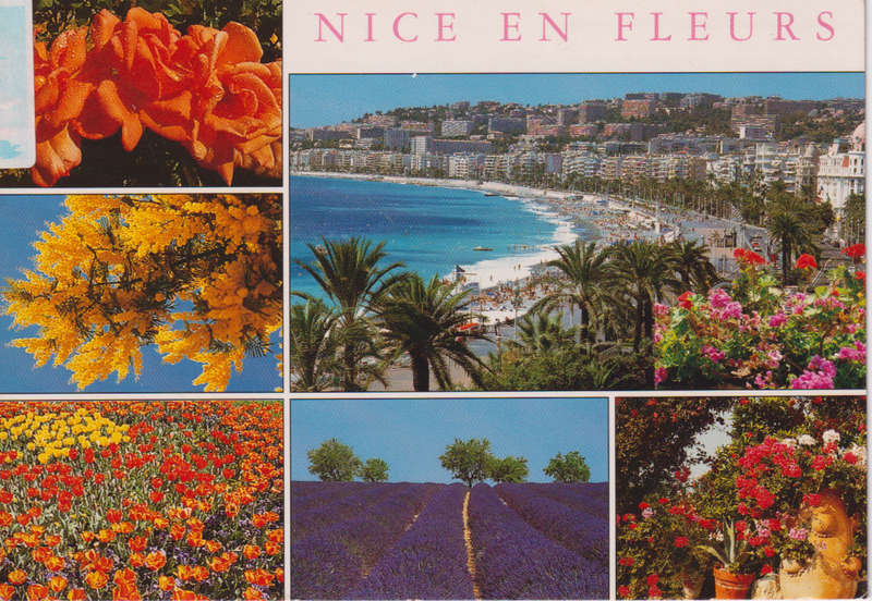 Post Card / Maxi Card used