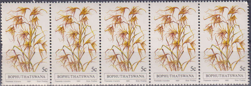 Stamp Bophuthatswana 1981 Indigenous Grasses