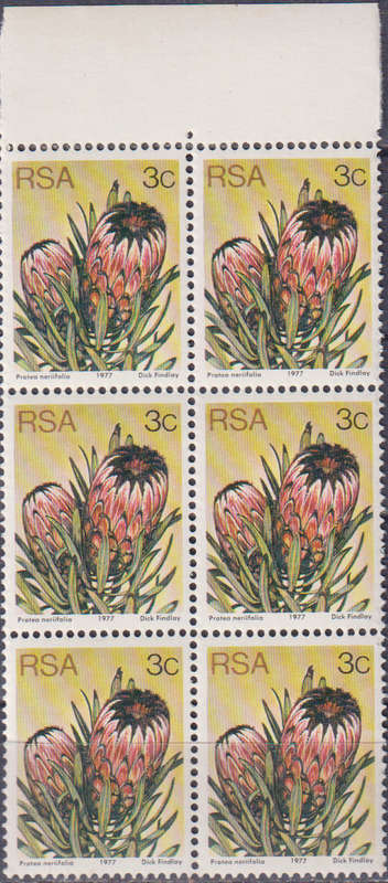 Stamp RSA 1977 Flora - Protea Plants