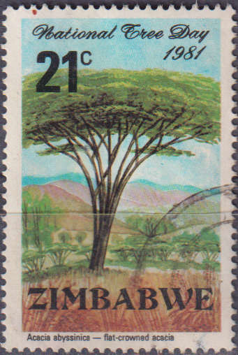 Stamp Zimbabwe 1981 National Tree Day