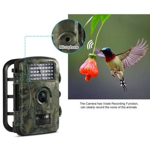 Wildlife Camera Trail Hunting Game 1080P 12MP HD Scouting Surveillance IP54 camera