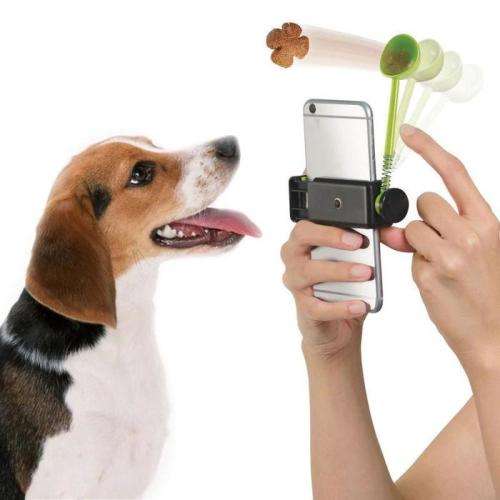 Pur-fect Picture Treat Launcher