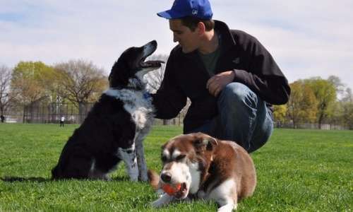 2 IN 1 RETRACTABLE LEASH AND COLLAR