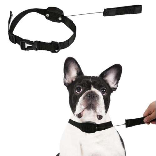 2 IN 1 RETRACTABLE LEASH AND COLLAR