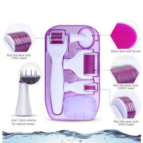 6 IN 1 DERMAROLLER
