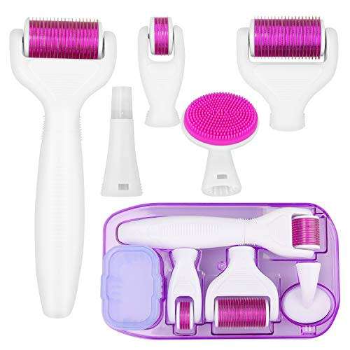 6 IN 1 DERMAROLLER