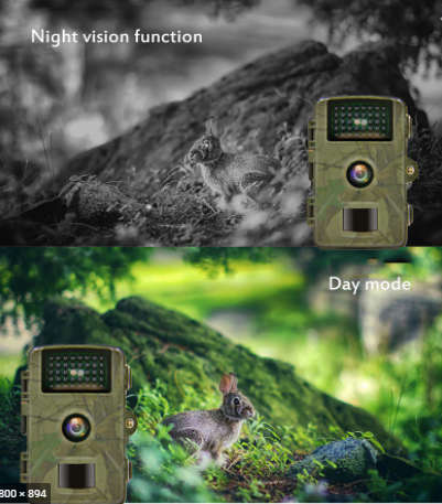 12PM TRAIL CAMERA -2.0TFT - NIGHT VISION DL001