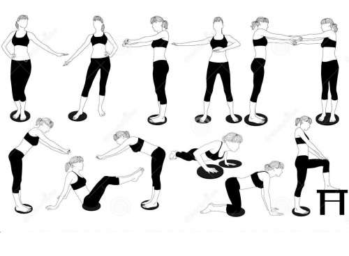 WAIST TWISTING DISC