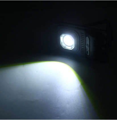 JX-116 MOTION LIGHT