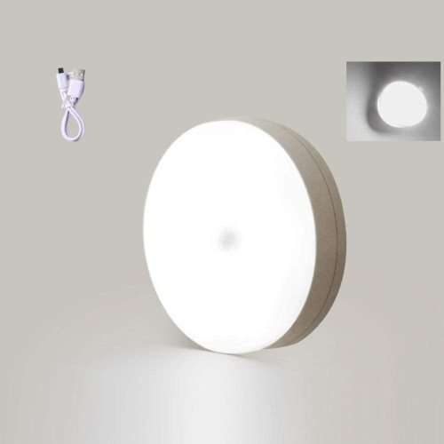 BODY INDUCTION LAMP
