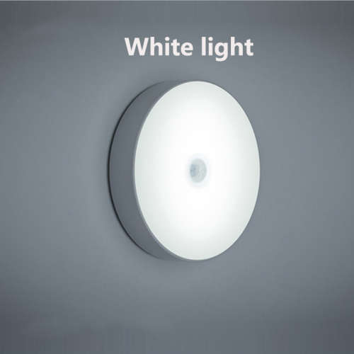 BODY INDUCTION LAMP
