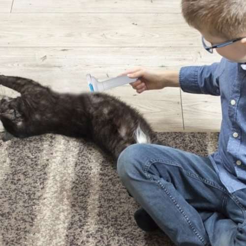 PET GOOMING BRUSH