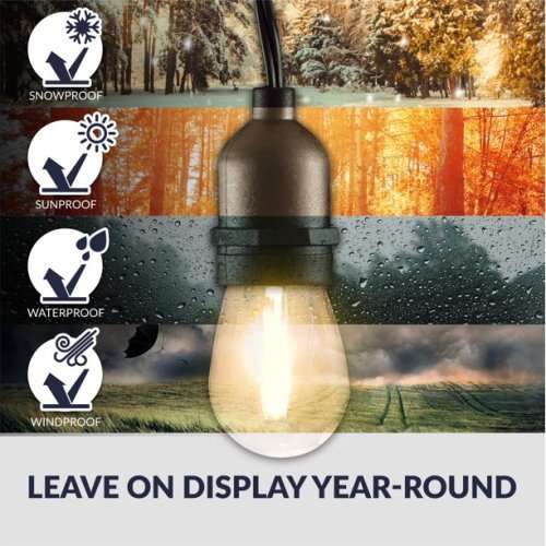 5m LED Globe String Light