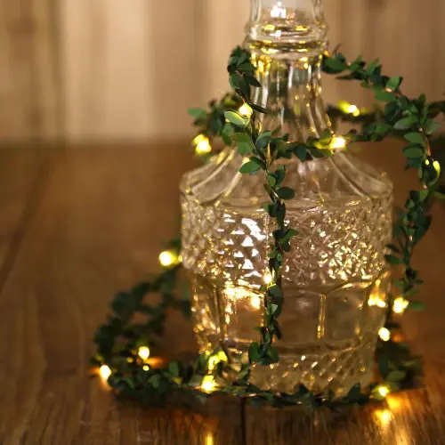 LEAF FAIRY STRING BATTERY