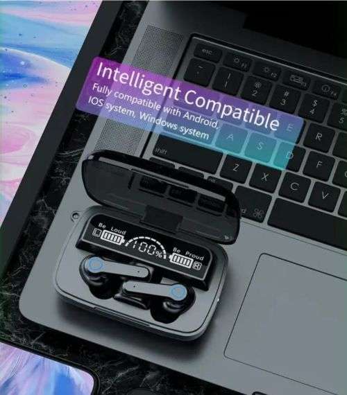 M19 Earpods