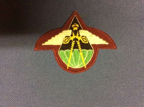 South West Africa Parabat Beret Badge