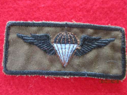 SWATF PARATROOPER WING