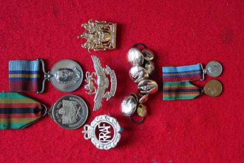 Senior Rhodesian Air Force Technician medals and badge collection