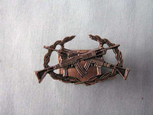 S W A 1st Class/marksman Shottist  badge.