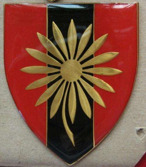 Northern Transvaal Command. Pro Unit flash