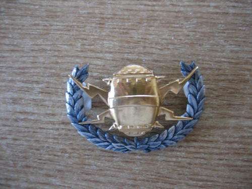 S A NAVY MINE COUNTER MEASURE bi-metal Breast Badge