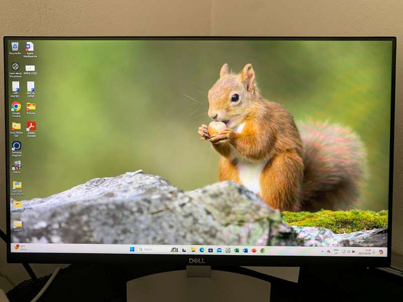 Dell 24" Monitor S2421HN - 24" FHD IPS  Monitor | in Box