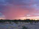 Sounds of rain and the African Bush