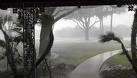 Sounds of Nature-Rain and Birds