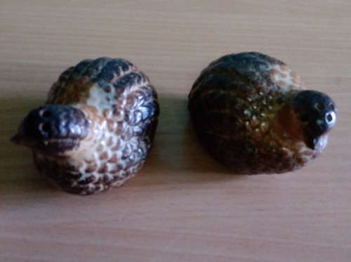 Quail salt and pepper set