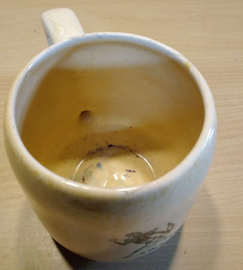 Zaalberg pottery mug