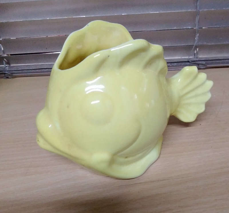Lucia ware fish
