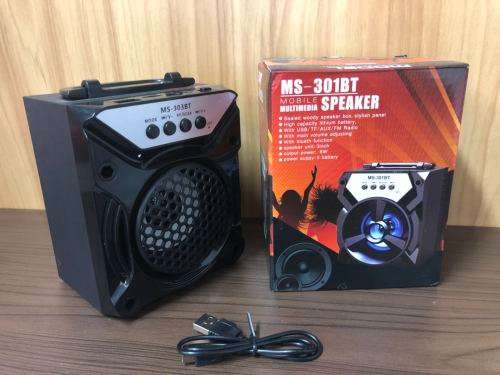 Bluetooth Portable SpeakerMS-303BT