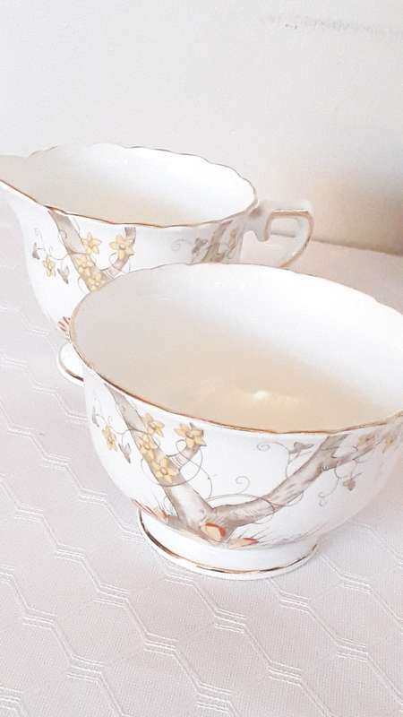 Vintage Royal Delphine Bone China