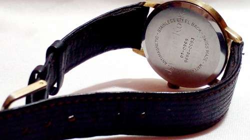 1960s Avia men`s date watch