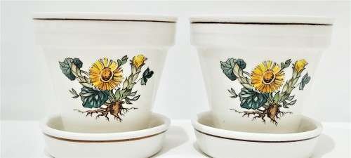 Vintage Villeroy & Boch `Botanica` planters