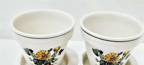 Vintage Villeroy & Boch `Botanica` planters