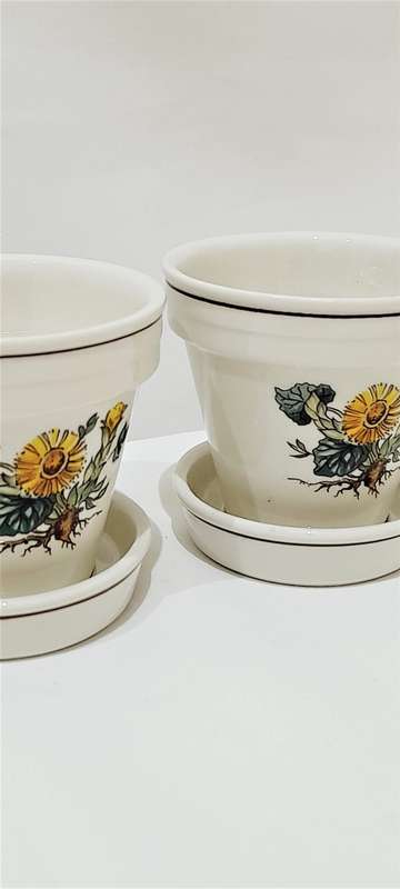 Vintage Villeroy & Boch `Botanica` planters