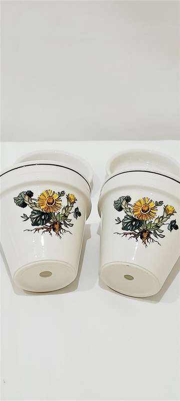 Vintage Villeroy & Boch `Botanica` planters