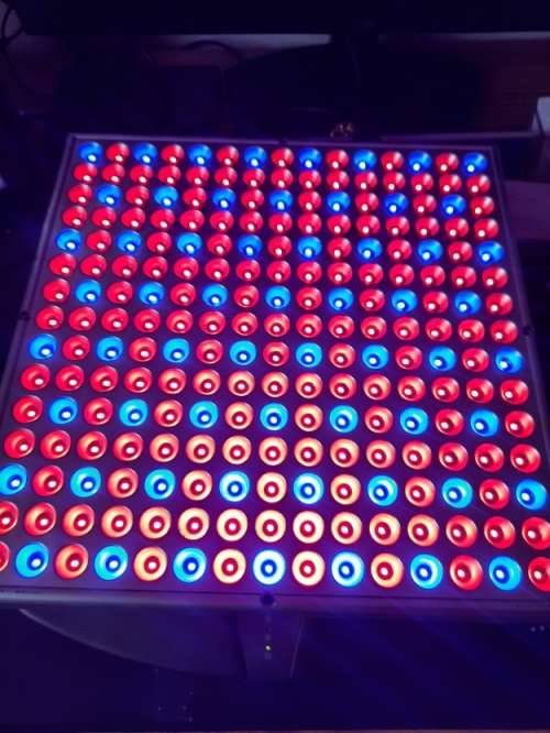 Grow Light 14w Make an Offer