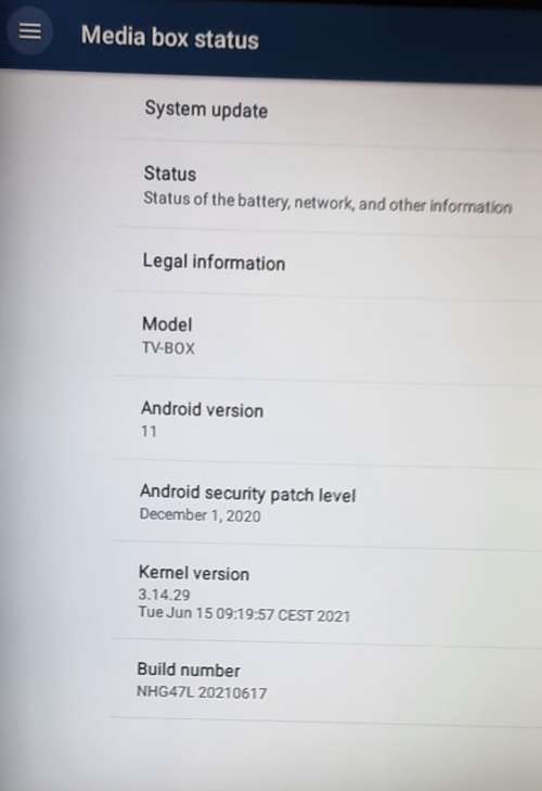 Android TV Box (16gb RAM/256gb storage)