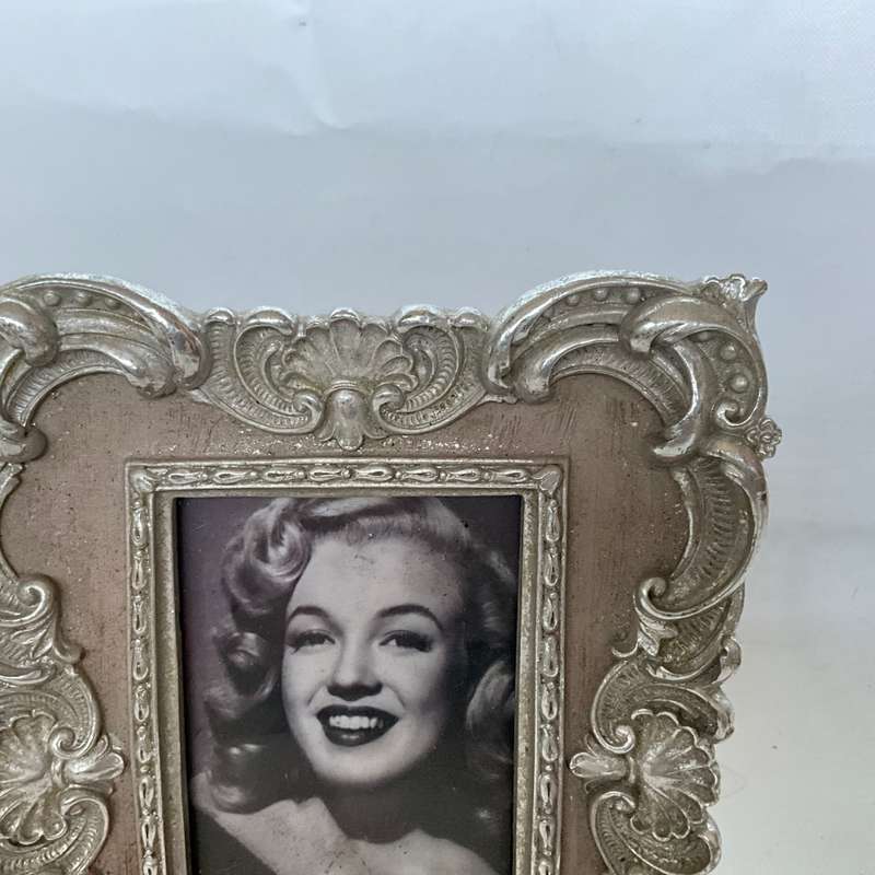 Stunningly Ornate Silver Picture Frame (Resin)