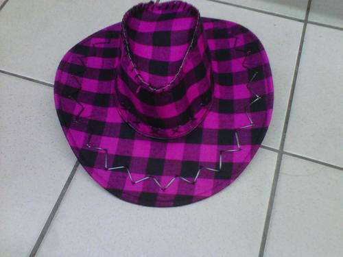 Cowboy Hat Pink check Stetson style